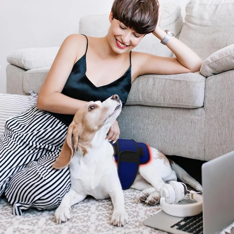 Sd8996d1cf3ed4795a1c422ee0c5df2c7D